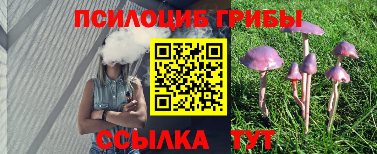 Галлюциногенные грибы Psilocybe  Вход с VPN  Вязьма 