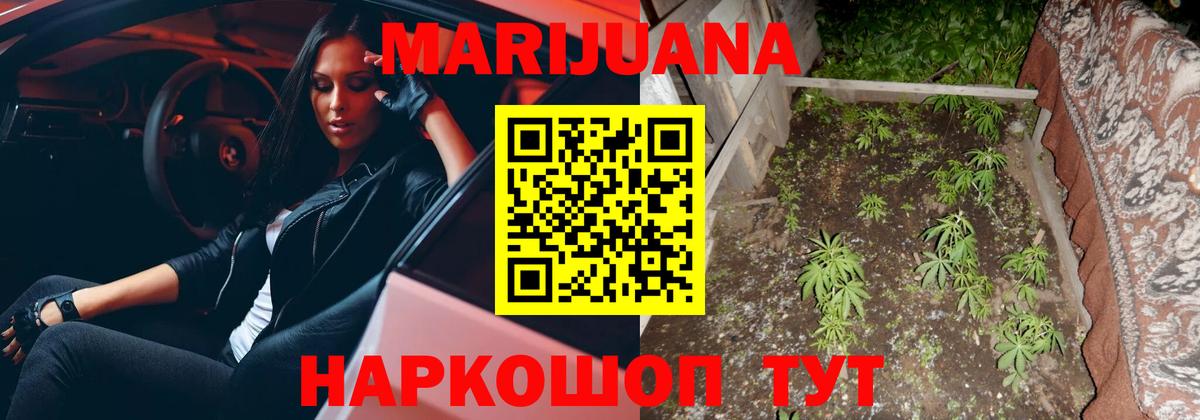 Конопля сатива Вязьма